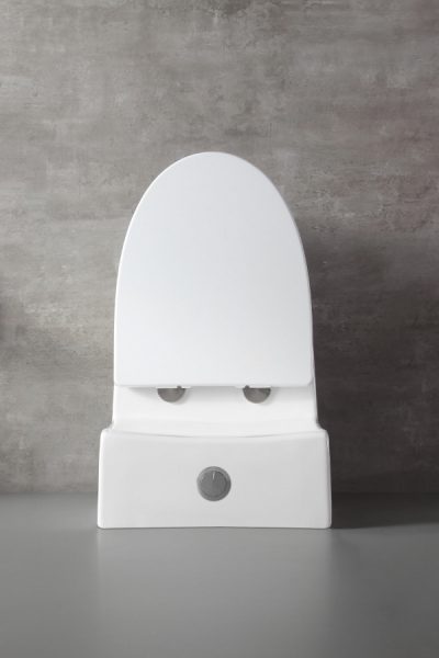 Simmons Dual Flush | BT10165TDF